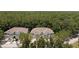 Aerial view of townhomes nestled in trees at 14215 Waterville Cir, Tampa, FL 33626