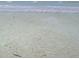 Clear shallow water revealing the sandy bottom near the ocean shore at 18650 Gulf Blvd # 413, Indian Shores, FL 33785