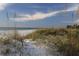 View of a serene beachfront dune landscape with native grasses and ocean views at 18650 Gulf Blvd # 413, Indian Shores, FL 33785