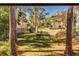 Private backyard with mature trees and partial view of neighboring homes at 300 S Florida Ave # 400D, Tarpon Springs, FL 34689