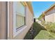 Side of house showcasing a window, landscaping, and a beige exterior at 31447 Shaker Cir, Wesley Chapel, FL 33543