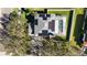 Top-down view of house, pool, and solar panels at 1600 Gray Bark Dr, Oldsmar, FL 34677