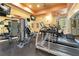 Well-equipped fitness center with various exercise machines at 4207 S Dale Mabry Hwy # 12210, Tampa, FL 33611