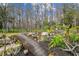 Charming wooden bridge crossing a tranquil stream in the backyard at 4825 Scott Rd, Lutz, FL 33558