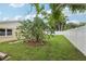 Simple backyard with grass, cactus and privacy fence at 7698 Cardiff Ct, St Petersburg, FL 33709