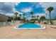 Inviting community swimming pool with lounge chairs and palm trees at 1028 Apollo Beach Blvd # 11, Apollo Beach, FL 33572