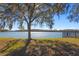 Scenic lakefront property with lush landscaping and a tranquil atmosphere at 11522 Fountainhead Dr, Tampa, FL 33626