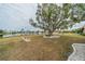 Large backyard with pond view and mature tree at 1607 Dower Way, Sun City Center, FL 33573