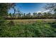 Large backyard with a view of neighboring houses at 1820 Sutherland W Dr, Palm Harbor, FL 34683