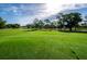 Lush green golf course with mature trees and blue sky at 3541 Oak Lake Dr, Palm Harbor, FL 34684