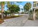 Landscaped backyard with patio and trees at 555 Gulf Dr, Crystal Beach, FL 34681