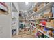 Well-organized pantry with ample shelving for storage at 676 Allegheny Dr, Sun City Center, FL 33573