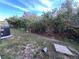 Backyard view showing some unkempt landscaping at 9822 Carlsdale Dr, Riverview, FL 33578