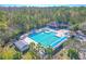 Large community lap pool with surrounding landscaping at 12113 Marblehead Dr, Tampa, FL 33626