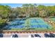 Several pickleball courts with players and surrounding greenery at 12113 Marblehead Dr, Tampa, FL 33626
