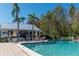 Community pool and clubhouse with lush landscaping at 2511 Dolly Bay Dr # 303, Palm Harbor, FL 34684