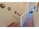 Indoor staircase with carpeted steps and neutral-colored walls at 262 Madeira Cir, Tierra Verde, FL 33715