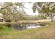 Serene pond surrounded by lush greenery and trees at 3143 Brooker Creek Way, Palm Harbor, FL 34685