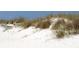 White sand beach with dunes and vegetation at 660 Island Way # 1005, Clearwater Beach, FL 33767