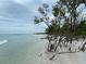 Scenic beach view with calm water and lush vegetation at 660 Island Way # 1005, Clearwater Beach, FL 33767
