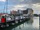 Boats docked at a marina with city skyline in the background at 660 Island Way # 1005, Clearwater Beach, FL 33767