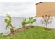 Small backyard with young fruit trees and banana plants at 11714 Sunburst Marble Rd, Riverview, FL 33579