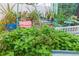 Abundant mint plants flourish in a backyard garden at 11714 Sunburst Marble Rd, Riverview, FL 33579