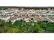 Aerial view of a community featuring numerous two-story houses and lush green lawns at 13735 Wineberry Dr, Dade City, FL 33525