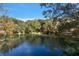 Serene pond view with lush trees and a clear reflection at 14708 Mayer Ave, Hudson, FL 34669