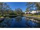 Community pond with reflection of homes and lush trees at 1621 Watermark Ne Cir # 1621, St Petersburg, FL 33702