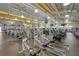 Well-equipped fitness center with various cardio and strength training machines at 2357 Emerald Lake Dr, Sun City Center, FL 33573