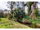 Lush green backyard with canal view and tropical foliage at 3000 Red Oak Court # 103, Palm Harbor, FL 34684