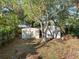 Backyard with two storage sheds and mature trees at 3613 S Gardenia Ave, Tampa, FL 33629