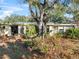 Back of house with overgrown yard and large tree at 3613 S Gardenia Ave, Tampa, FL 33629
