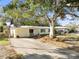 Ranch home with driveway, mature landscaping, and basketball hoop at 3613 S Gardenia Ave, Tampa, FL 33629