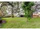 Green grassy backyard with large tree and home view at 8727 Huntfield St, Tampa, FL 33635