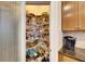 Well-stocked pantry with ample shelving at 5606 Seagrass Pl, Apollo Beach, FL 33572