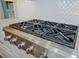 Stainless steel gas cooktop with modern design at 11910 Climbing Fern Ave, Riverview, FL 33579