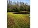 Peaceful backyard pond with lush greenery at 1215 Dustan Pl, Trinity, FL 34655