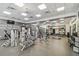 Modern fitness center with weight machines and free weights at 14608 Mirasol Manor Ct, Tampa, FL 33626