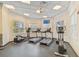 Modern fitness center with cardio equipment at 14608 Mirasol Manor Ct, Tampa, FL 33626
