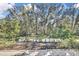 Backyard with lush landscaping and trees at 30618 Birdhouse Dr, Wesley Chapel, FL 33545