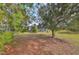 Private backyard with mature trees and lawn at 6516 Salt Creek Ave, Apollo Beach, FL 33572
