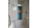 Clean bathroom with shower stall and grab bars at 12172 Wild Acres Rd, Largo, FL 33773