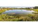 Serene lake view showcasing lush vegetation and tranquil waters at 326 Caloosa Woods Ln, Sun City Center, FL 33573