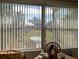 View from dining room to backyard at 4415 Great Lakes N Dr, Clearwater, FL 33762