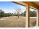 View from the porch of backyard and trees at 12404 Dolquieb Ln, Weeki Wachee, FL 34614