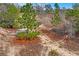 Wooded, sandy lot with pines at 12404 Dolquieb Ln, Weeki Wachee, FL 34614