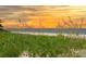 Stunning sunset over the ocean with beach grass in the foreground at 123 9Th St, Belleair Beach, FL 33786