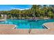 Inviting community pool with brick deck at 18207 Canopy Pl, Lakewood Ranch, FL 34211